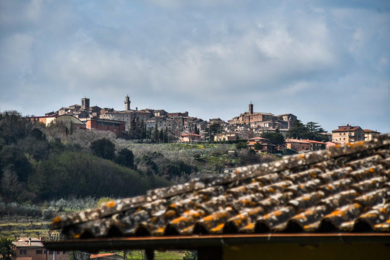 1190RV52093noWT (17)